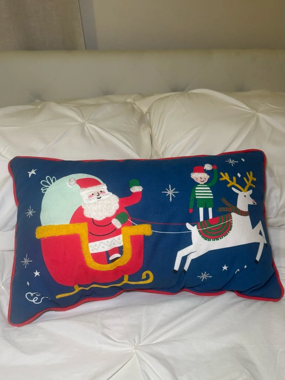 Christmas Santa Pillows